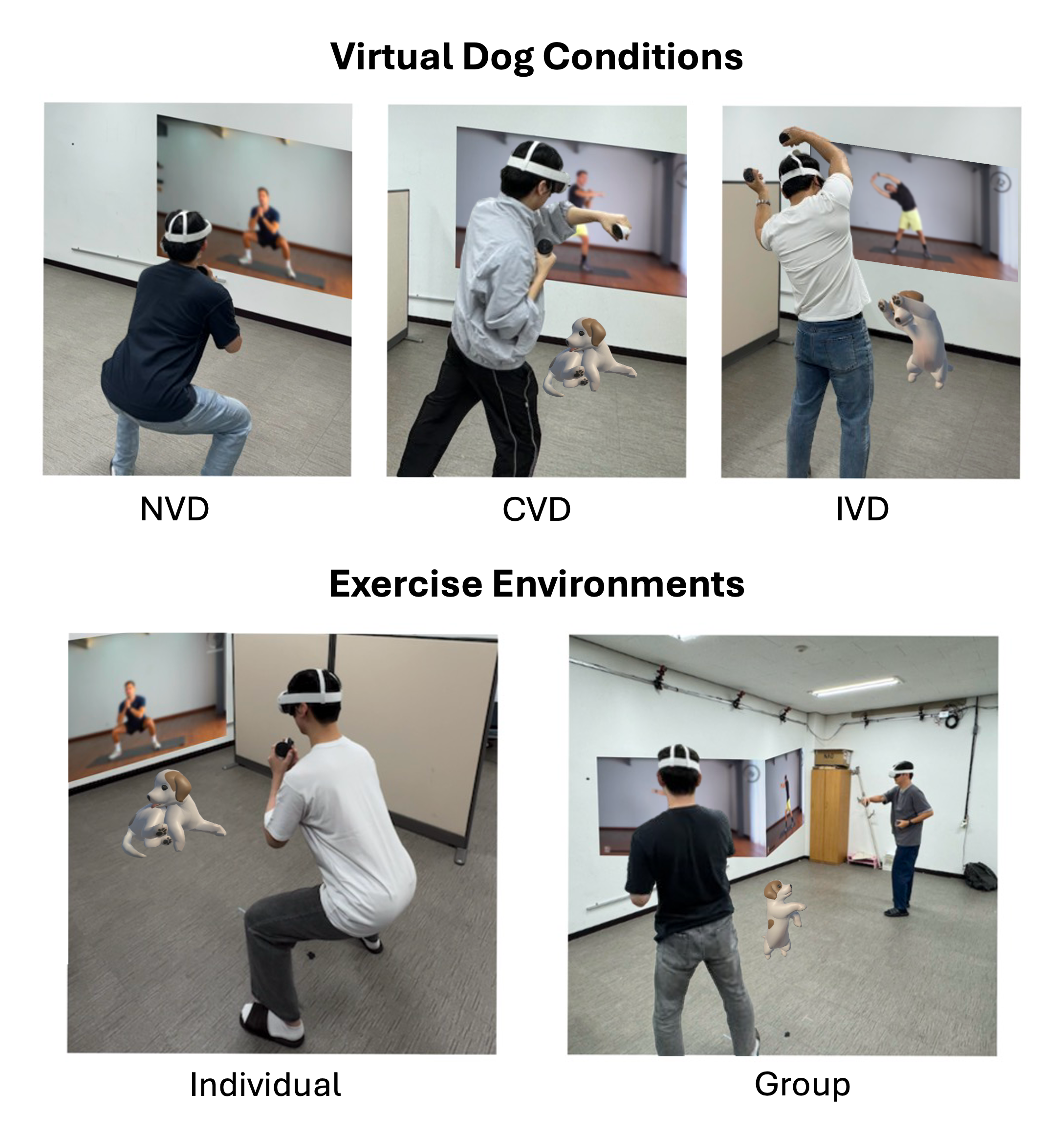 ARFitnessDog